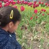 Sumayah M