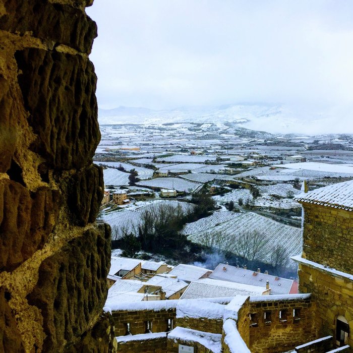 Imagen 7 de Castillo De San Vicente