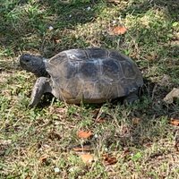 Bowditch Point Park (Fort Myers Beach) - All You Need to Know BEFORE You Go