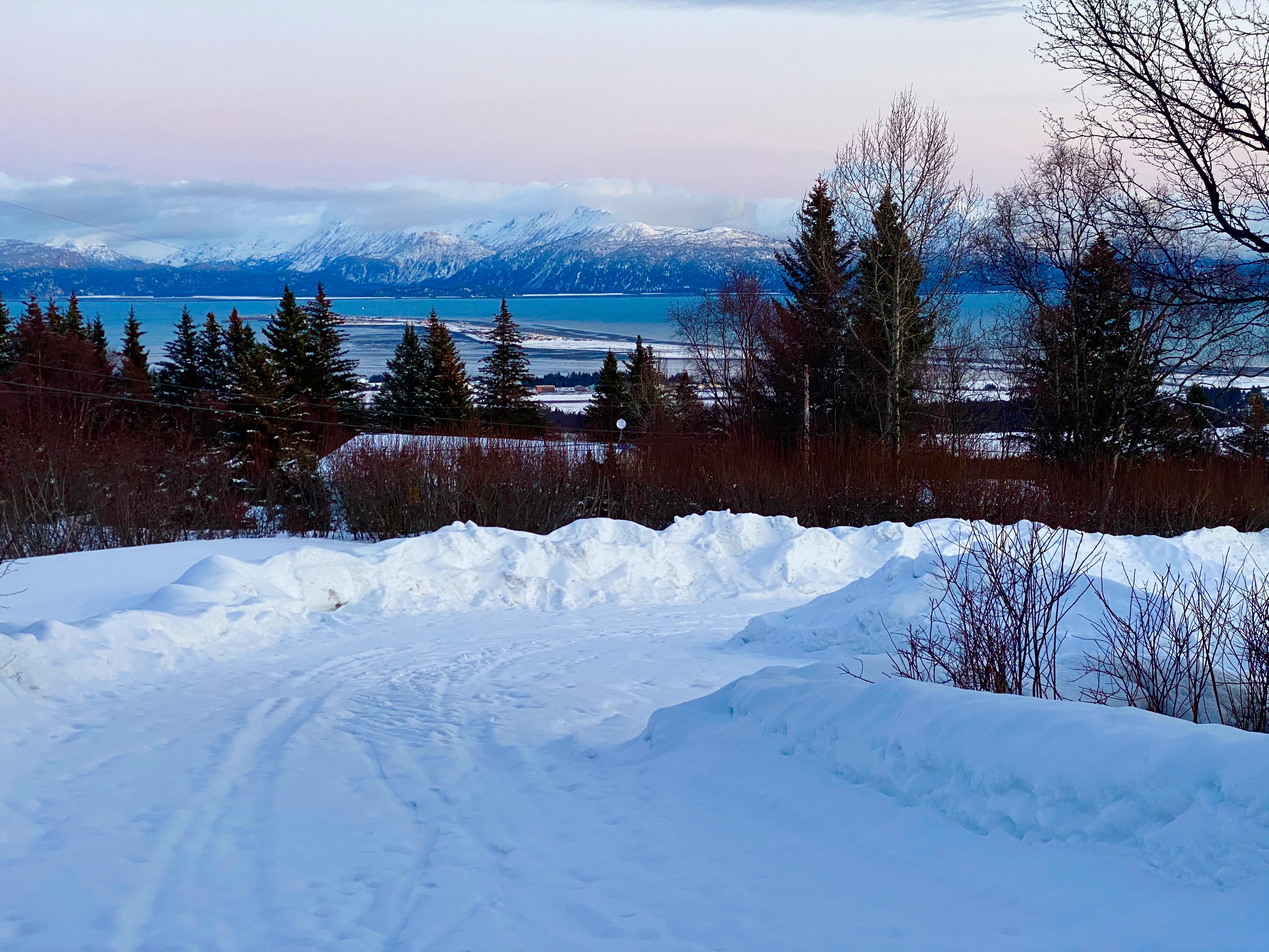 HALCYON HEIGHTS B&B / INN - Prices & Reviews (Homer, AK)