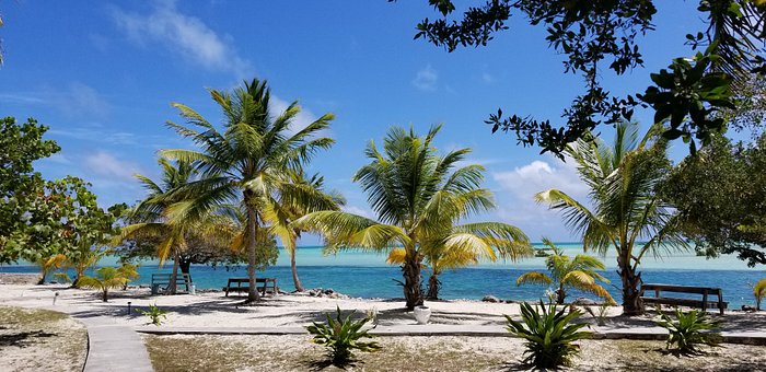 ANDROS ISLAND BONEFISHING CLUB - Prices & Lodge Reviews (Bahamas)