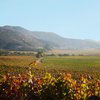 Clos de Luz