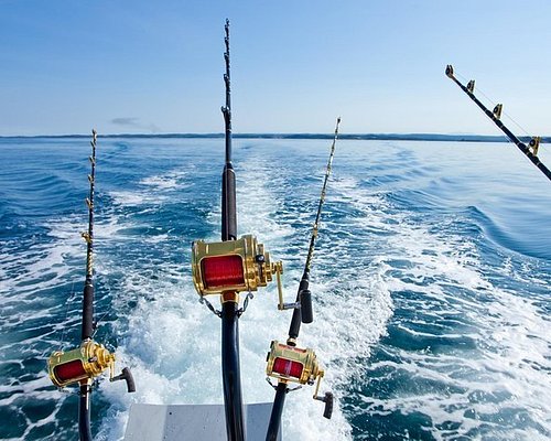 Deep sea fishing excursion  Sea fishing rods, Sea fishing tackle, Deep sea  fishing