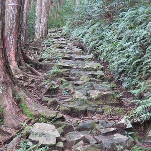 21年 吉野郡で絶対外さないおすすめ観光スポットトップ10 定番から穴場まで トリップアドバイザー 21年 吉野郡で絶対外さないおすすめ観光スポットトップ10 定番から穴場まで トリップアドバイザー