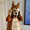 Puschel