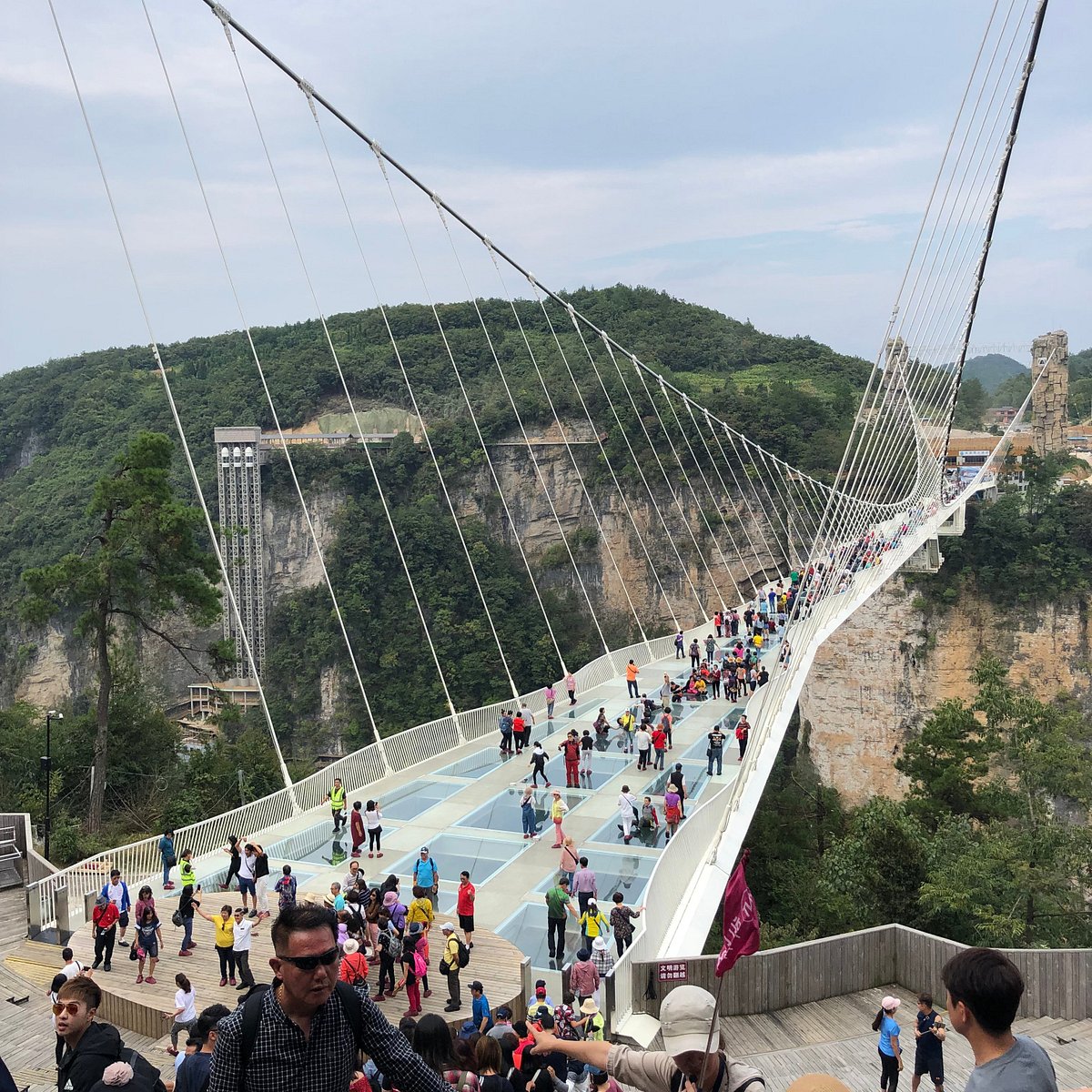 Zhangjiajie Glass Bridge, Чжанцзяцзе: лучшие советы перед посещением -  Tripadvisor