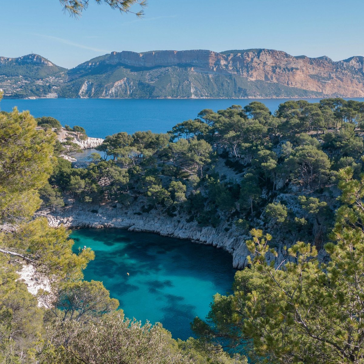 France By Locals (Marseille): Address, Phone Number, - Tripadvisor