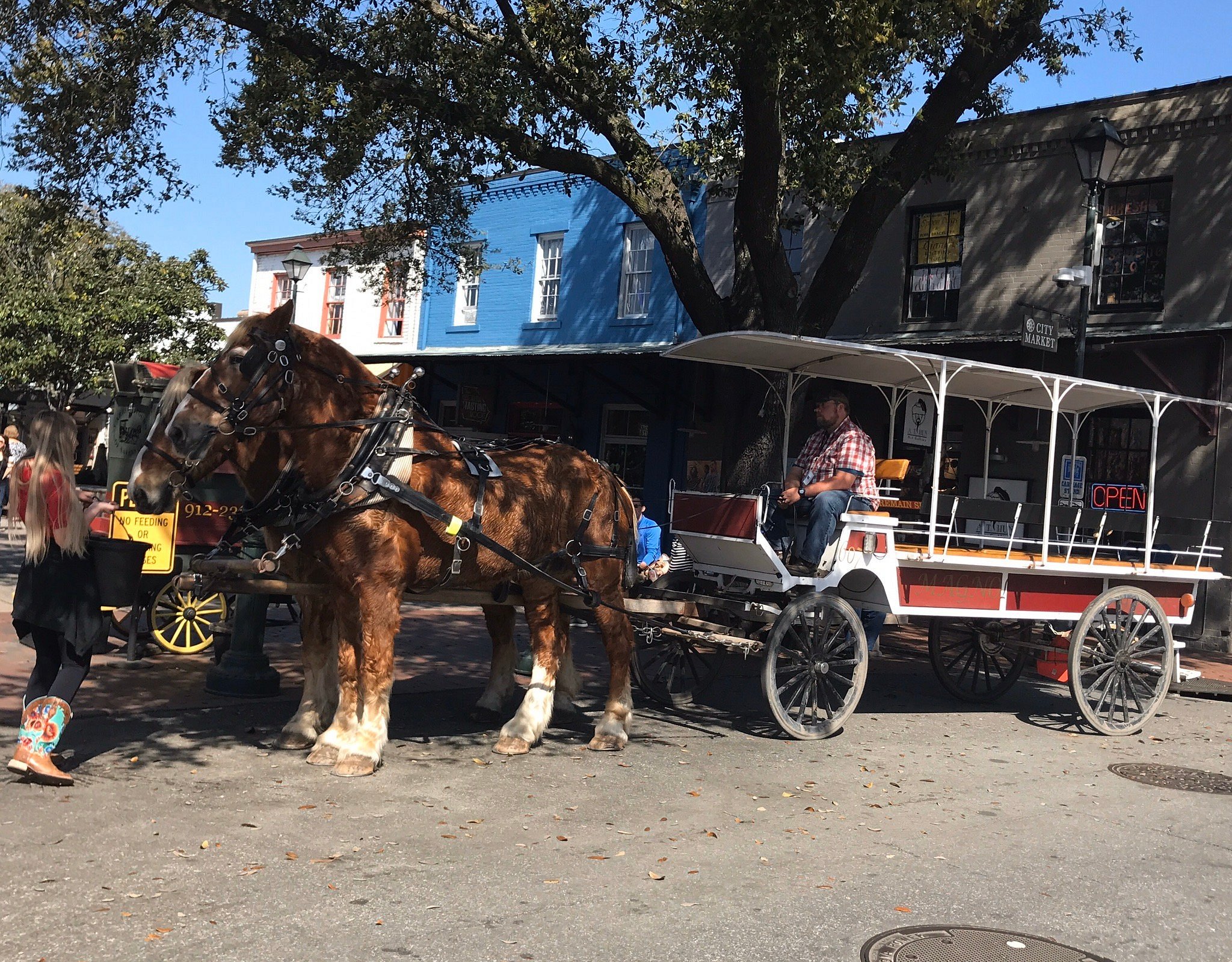 plantation tour savannah