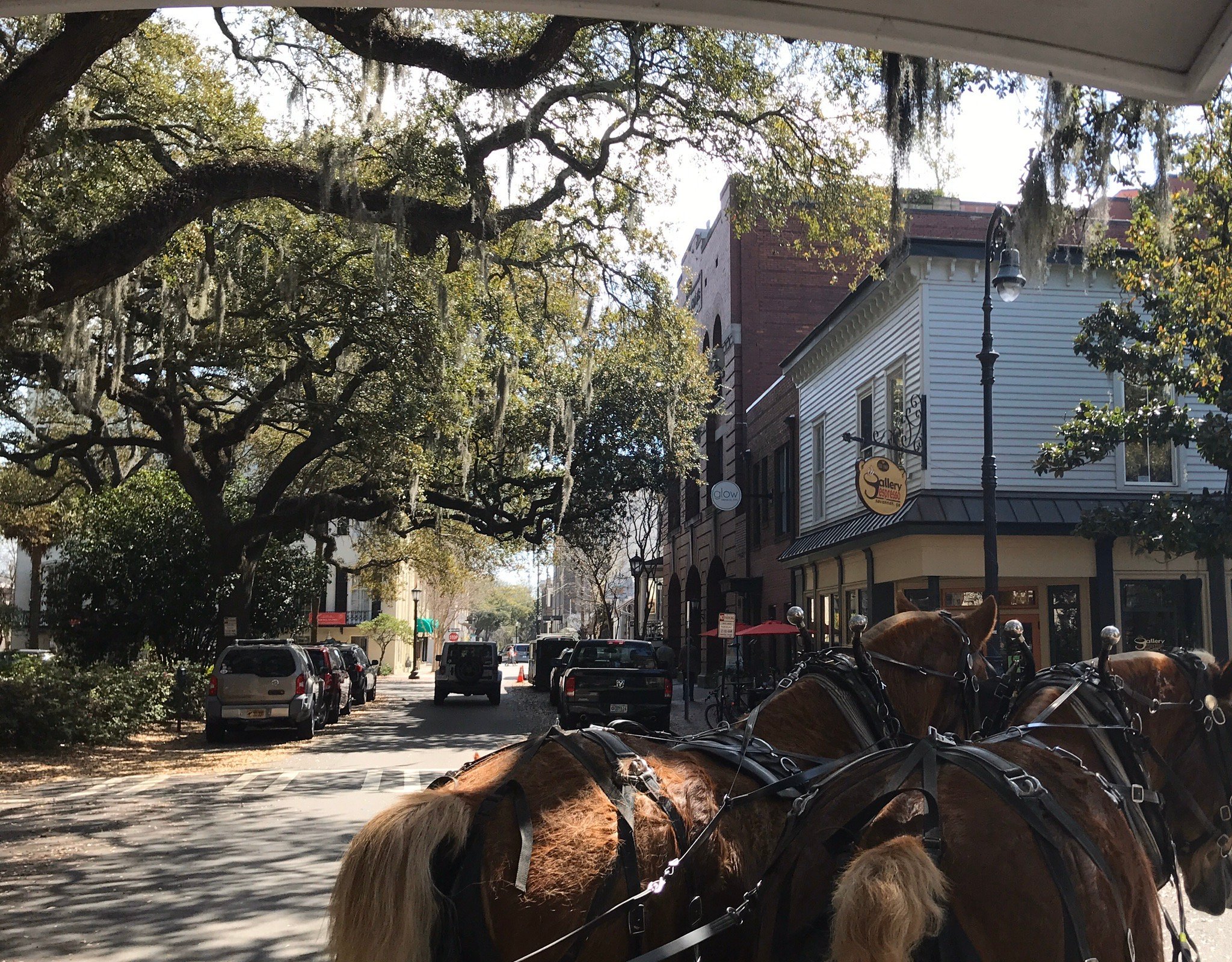 Plantation Carriage Tours (Savannah) - All You Need to Know BEFORE You Go