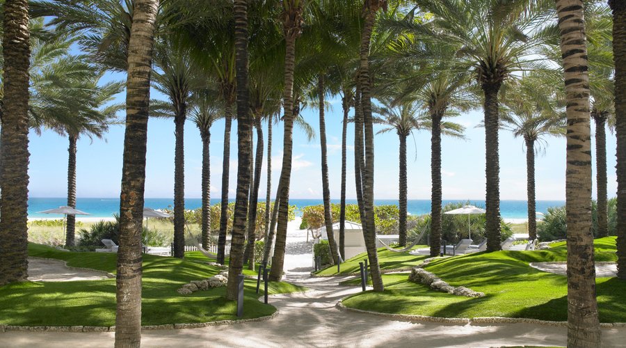 Beach path - Palm Garden