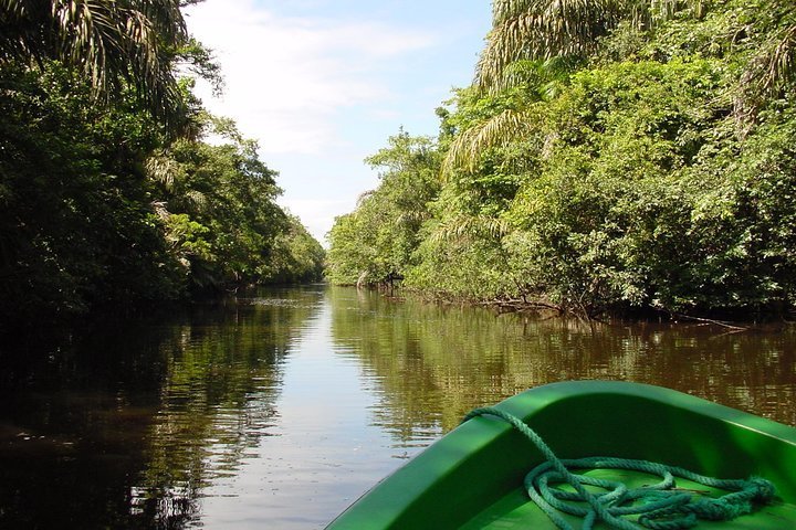 2023 Tortuguero National Park - Admission Ticket