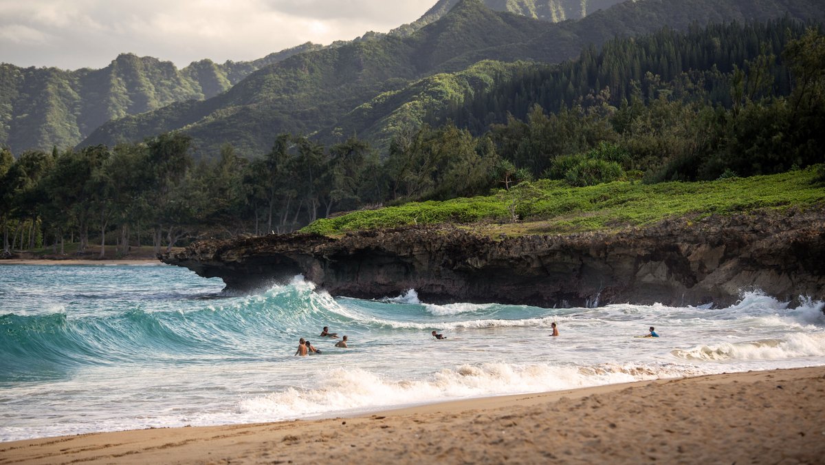 THE 15 BEST Things to Do in Island of Hawaii (2024)