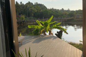 Phòng & Phòng Suite