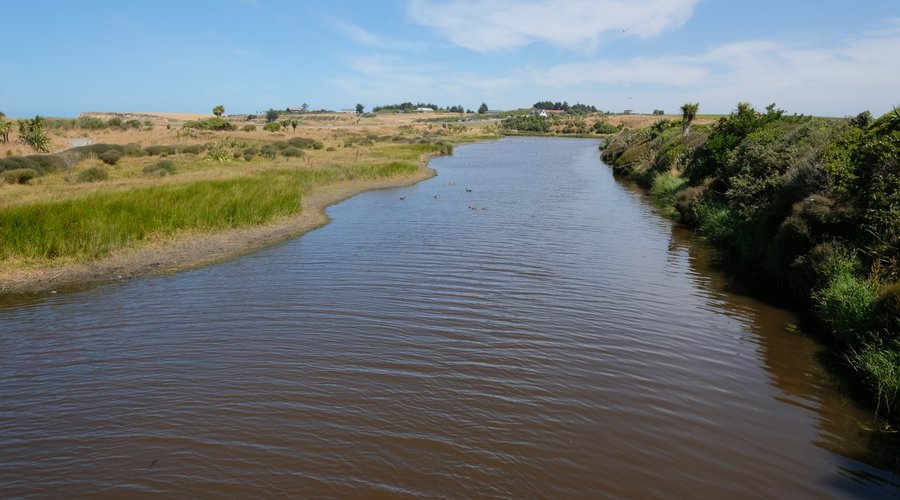 Wetland