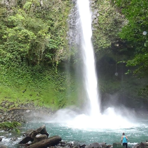 My 7 year old with her Needle fish that is taller than our guide! - Picture  of Gamefisher II Costa Rica, Playa Flamingo - Tripadvisor