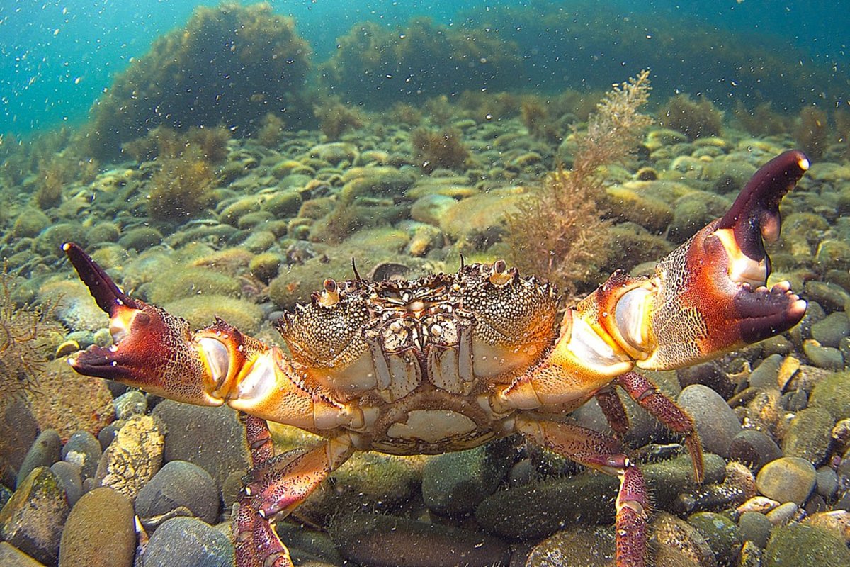 изучения черного моря