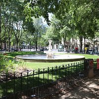 Il s'agit d'un petit jardin dans la ville
