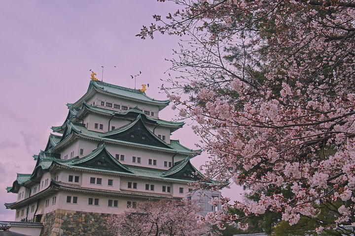 名古屋市のツアー ベスト10 - トリップアドバイザー