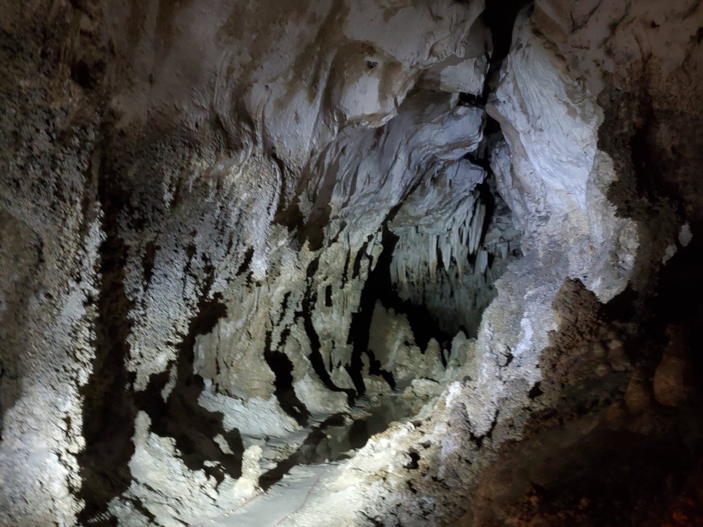 Left Hand Tunnel Tour (Carlsbad Caverns National Park) - All You Need ...