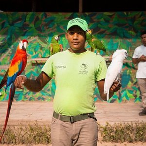 O Moinho De Vento Quebrado Velho Serve Agora Como a Exploração Agrícola Do  Rancho Do Aviário Imagem de Stock - Imagem de alternativa, terra: 36649937