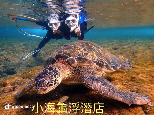 Travel in Taiwan  Longdong Scuba Diving - onethingoneweek