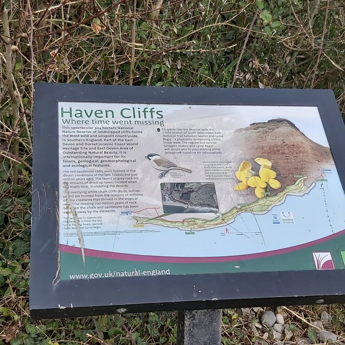 Nudist Couple Nature Trail - Haven Cliffs Naturist Beach - All You Need to Know BEFORE You Go (with  Photos)