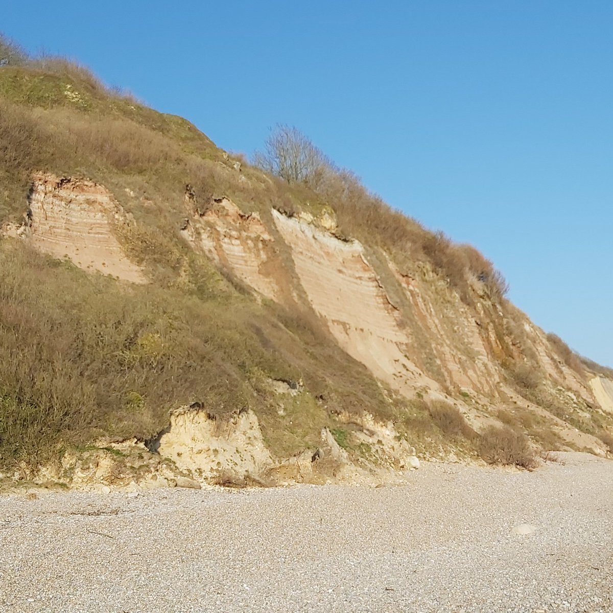 HAVEN CLIFFS NATURIST BEACH (Axmouth) - All You Need to Know BEFORE You Go