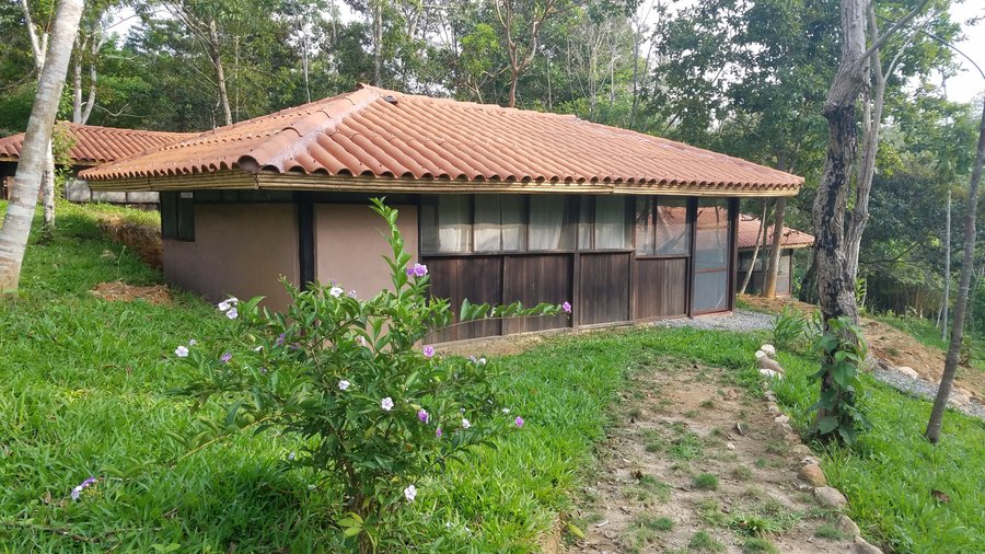 Habitación con 2 camas dobles y baño privado