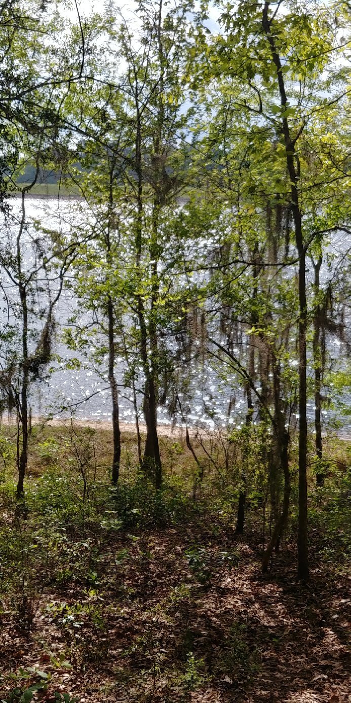 LITTLE BLACK CREEK CAMPGROUND - Reviews (Lumberton, MS)