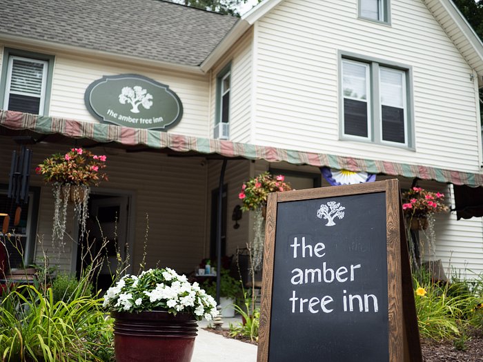 The Amber Tree Inn Updated 2024 Specialty Inn Reviews Lily Dale Ny 0475