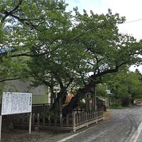 志賀理和気神社