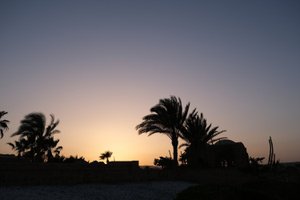 المسافر
