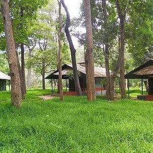 Deep Forest Stay Reserve Topslip Wild Life, Forest Stay In Tree Top  Anamalai Tiger Reserve