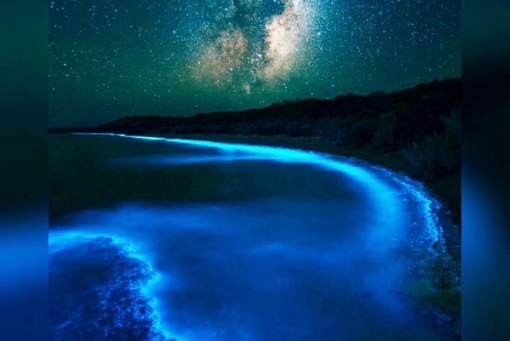 cancun bioluminescence tour