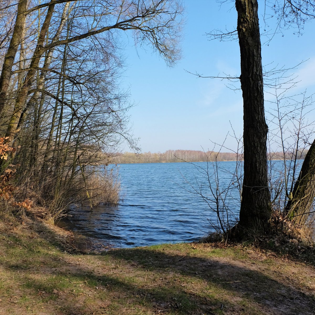 TEICH ANNA SUED (Helmstedt) Ce qu'il faut savoir pour votre visite