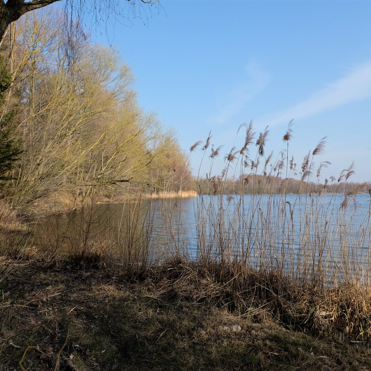 TEICH ANNA SUED (Helmstedt) Qué SABER antes de ir (2025)