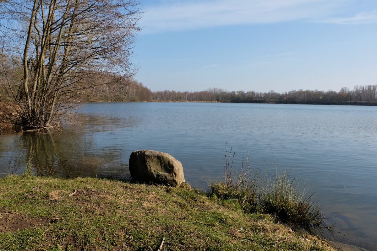 Teich Anna Sued (Helmstedt) 2022 Lohnt es sich? (Mit fotos)