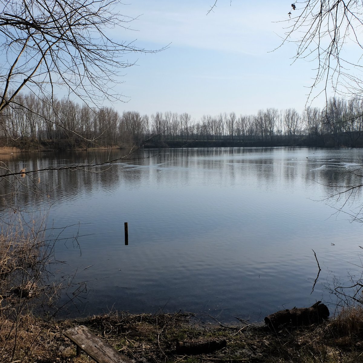 TEICH ANNA SUED (2025) All You Need to Know BEFORE You Go (with Photos)
