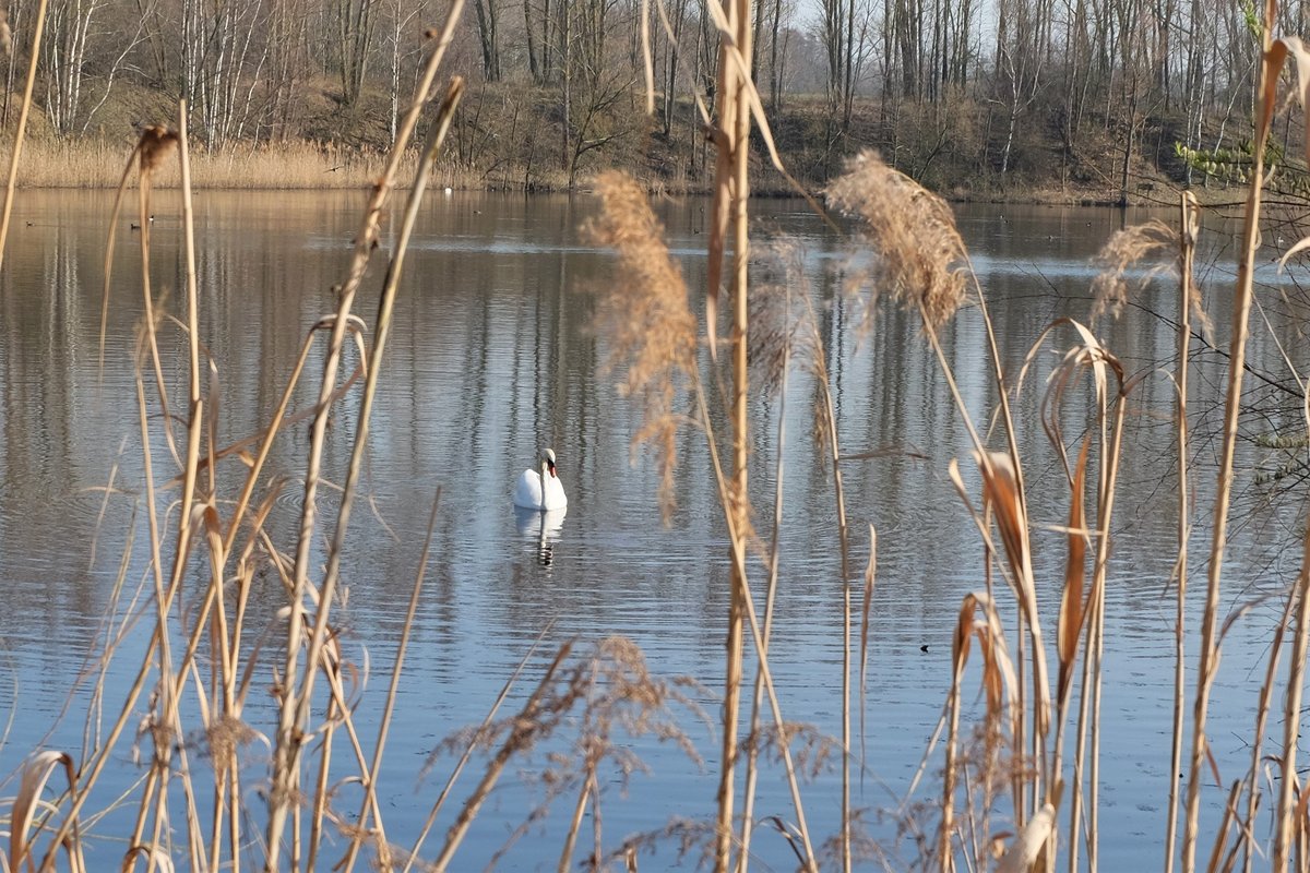 Teich Anna Sued (Helmstedt) All You Need to Know BEFORE You Go