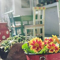 Klub Dvorište
Miloša Obrenovića 12
Pančevo