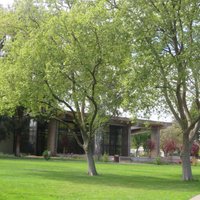 rengstorff park pool