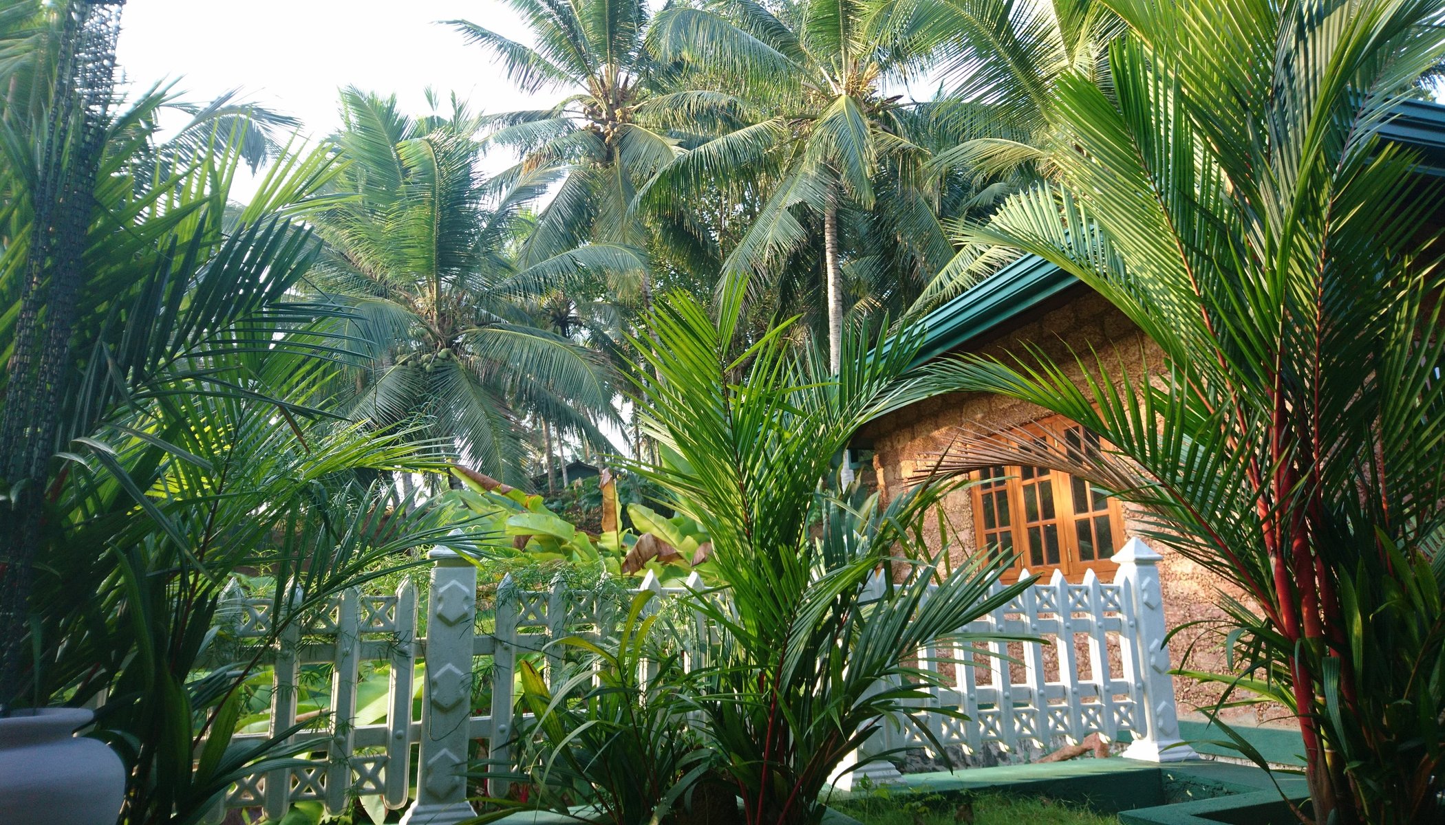 Laluna Eco Resort image