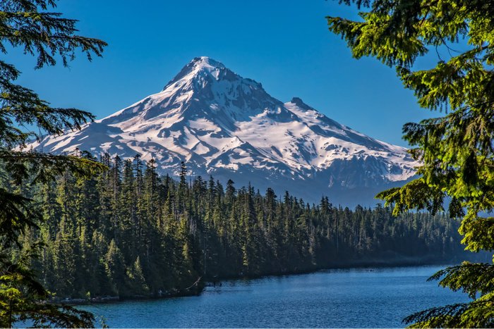 are dogs allowed at lost lake oregon