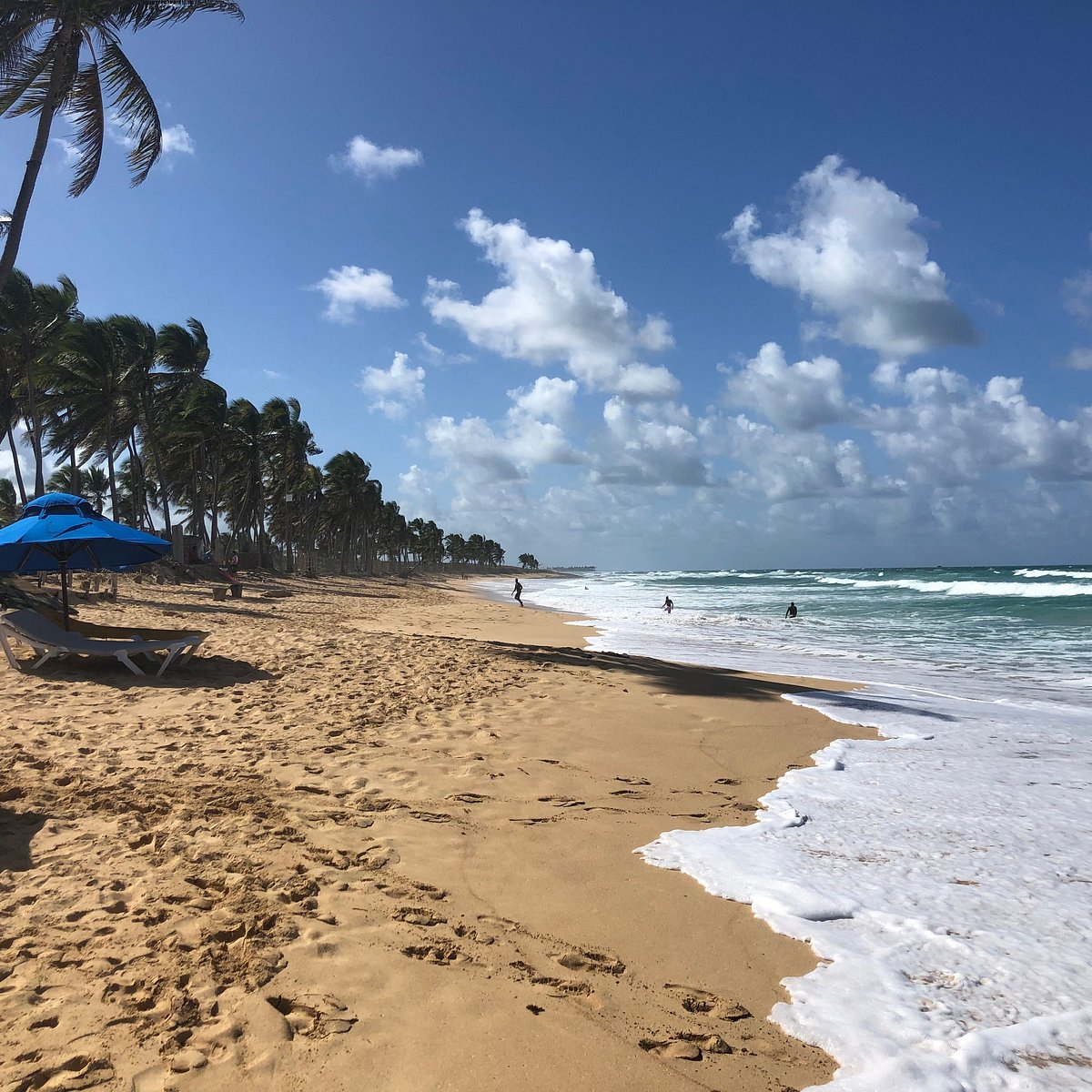 PICKLEBALL GETAWAYS (Punta Cana) - All You Need to Know BEFORE You Go