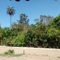 A natureza em primeira lugar