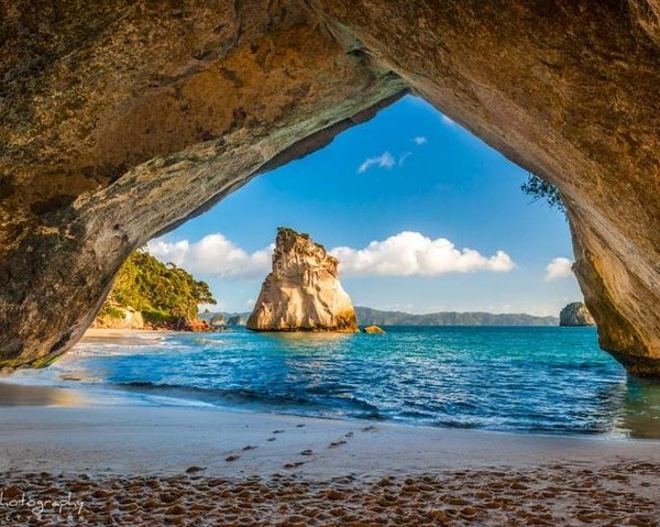 2025 One Hour Cathedral Cove Boat Tour in Hahei - with Trusted Reviews 2025 One Hour Cathedral Cove Boat Tour in Hahei  - with... 