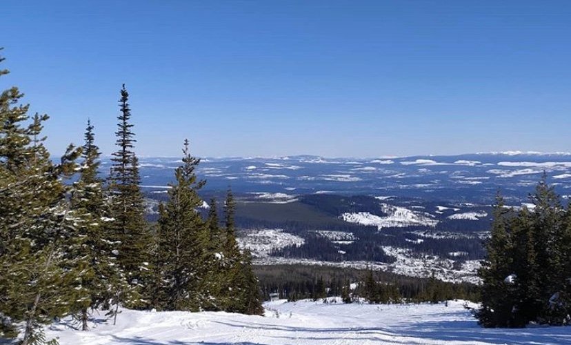 Mt Timothy