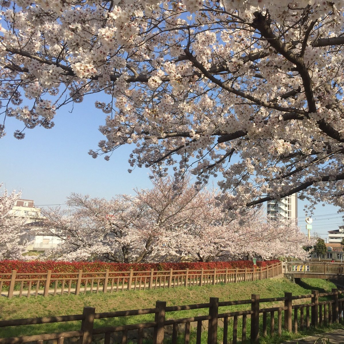 23年 井沼方公園 行く前に 見どころをチェック トリップアドバイザー