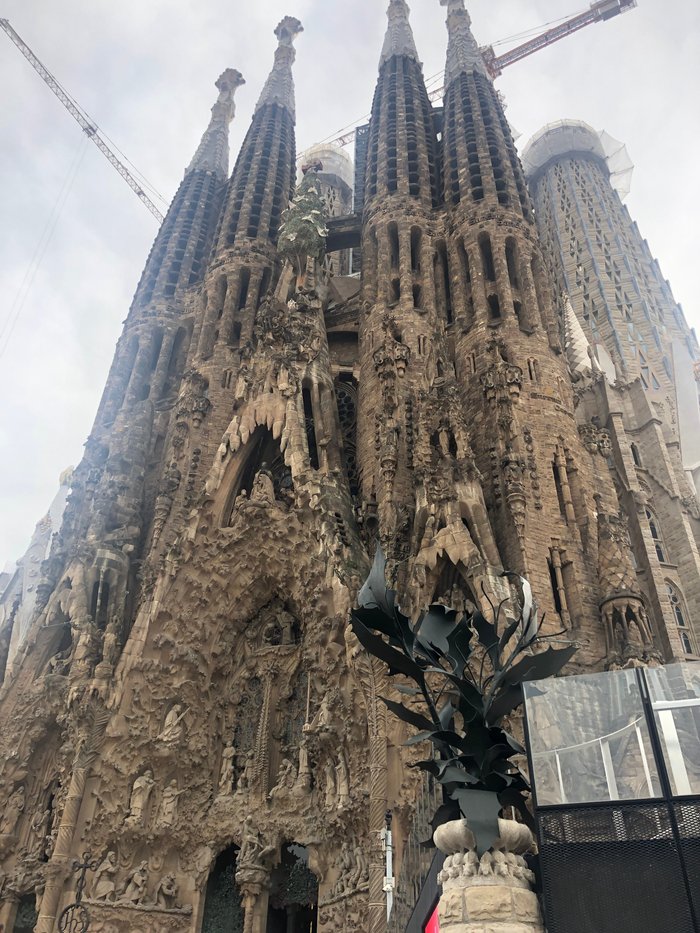 Imagen 9 de Gaudi Sagrada Familia