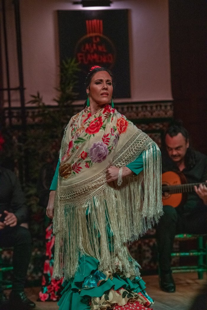 Imagen 10 de La Casa del Flamenco